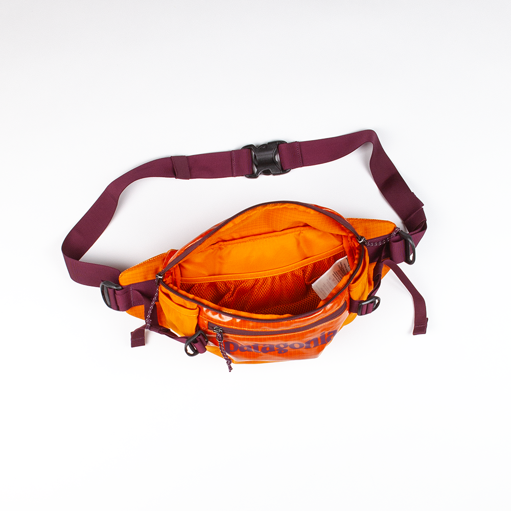 Patagonia hip bag