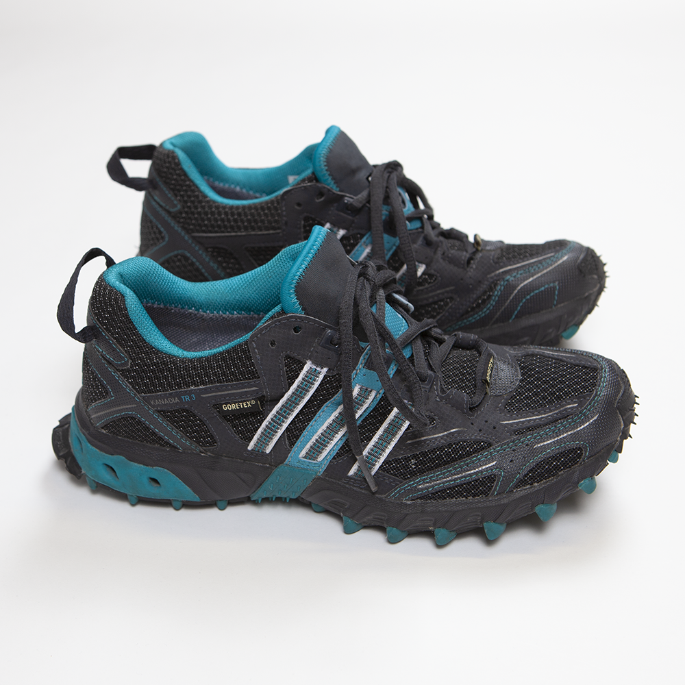 2010 Adidas Kanadia TR 3 Gore-Tex running shoe