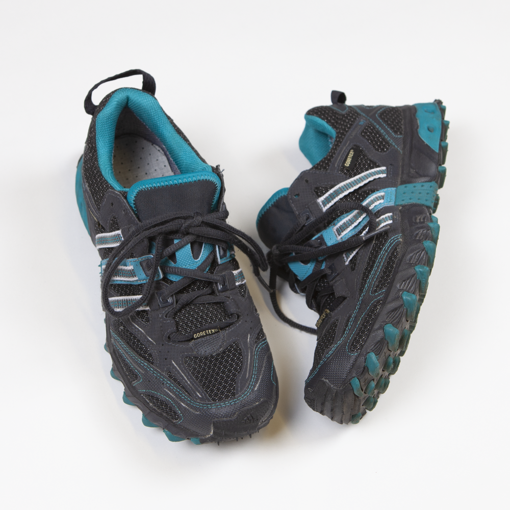 2010 Adidas Kanadia TR 3 Gore-Tex running shoe