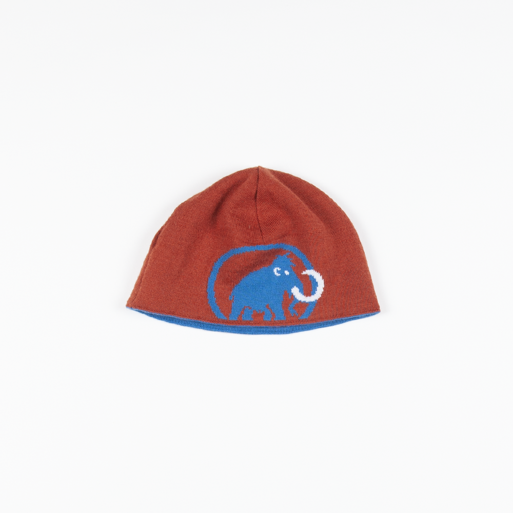 Mammut logo beanie